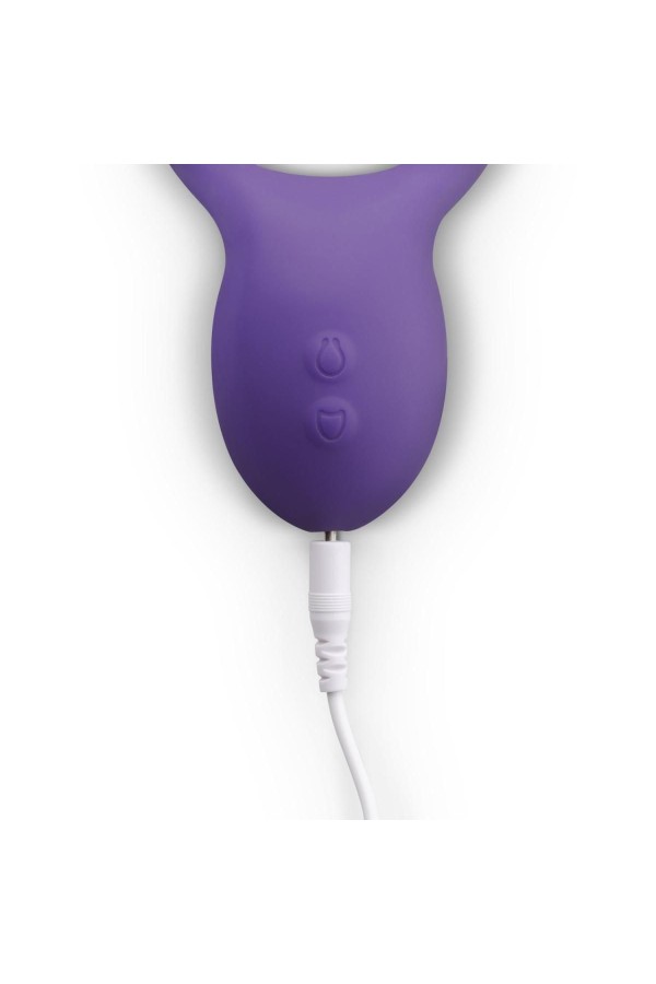 Paarvibrator
