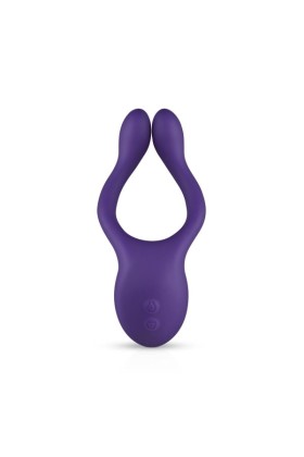 Paarvibrator