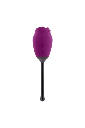 Playboy - Petal Vibrator - Lila/Schwarz