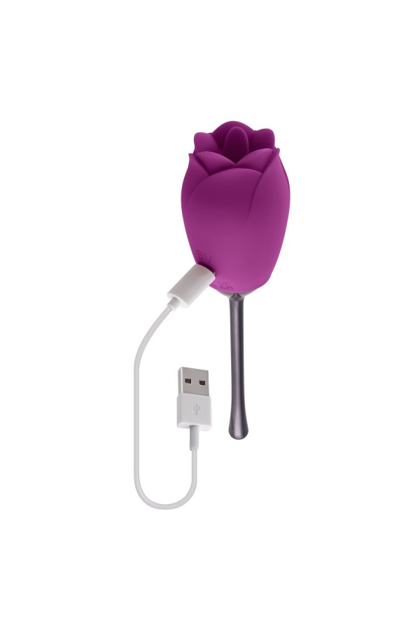 Playboy - Petal Vibrator - Lila/Schwarz
