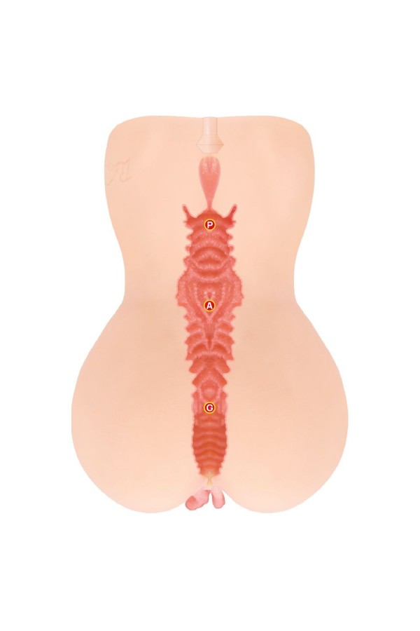 Kokos - Onahole Edition 001 Double Layer XL Masturbator