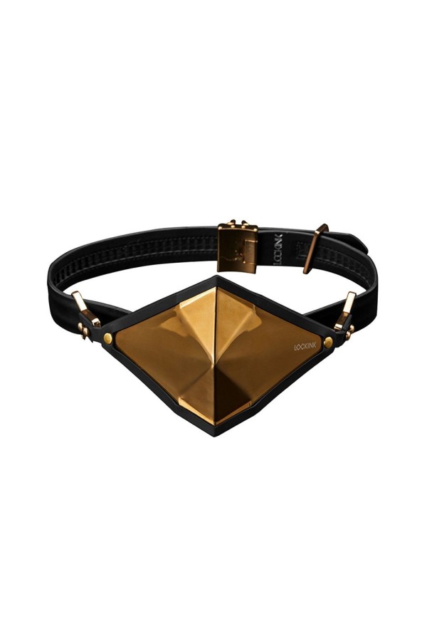 LOCKINK - Goldenes Punker Maulkorb-Knebel-Set