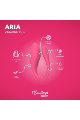 EasyConnect - Vibrierendes Ei Aria, app-gesteuert