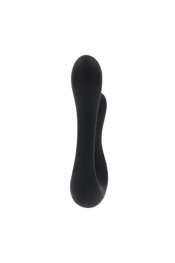 Evolved - The Swan - Vibrator - Schwarz