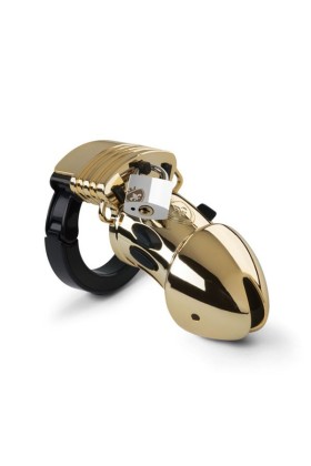 Pubic Enemy Nr 1 - Gold Edition