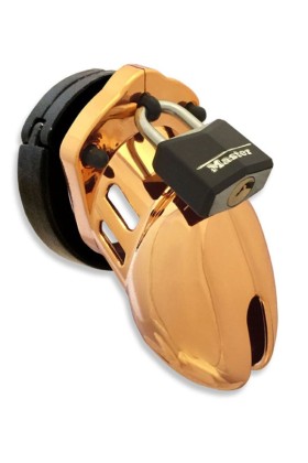 CB-6000S Gold Chastity Cage