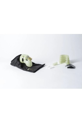 CB-X - Mr. Stubb Chastity Kit Glow-in-the-Dark