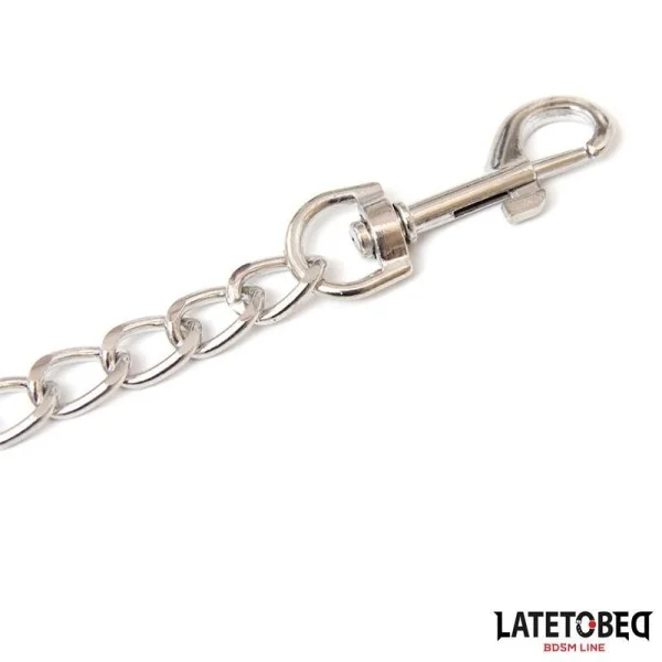 METALLKETTE LEINE PINK 65 CM VON LATETOBED BDSM LINE