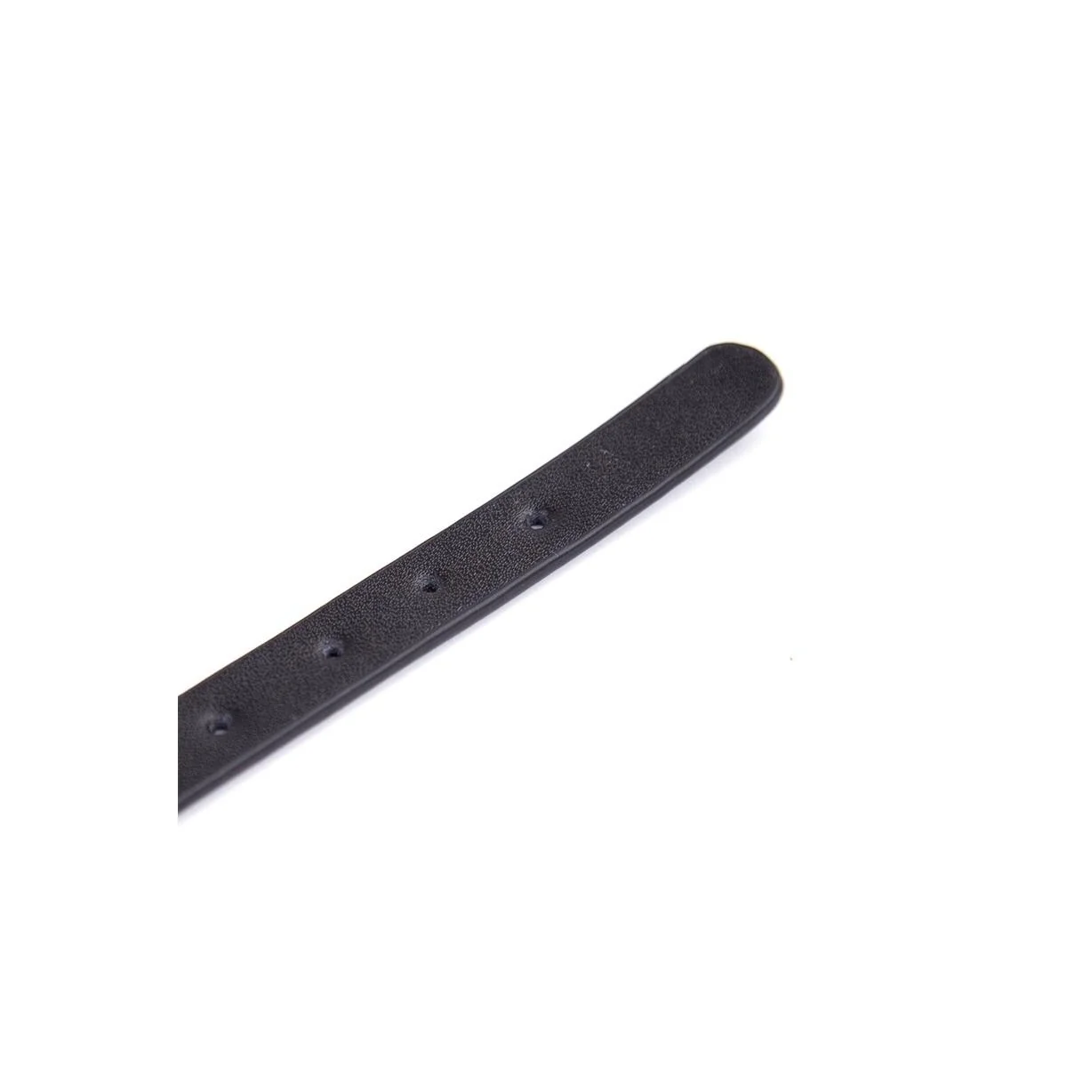 Halsband verstellbar 43 cm Schwarz von Latetobed Bdsm Line kaufen | Fesselliebe