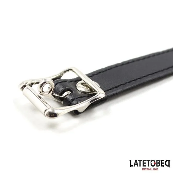 SILIKON-BALLKNEBEL, ROSA VON LATETOBED BDSM LINE