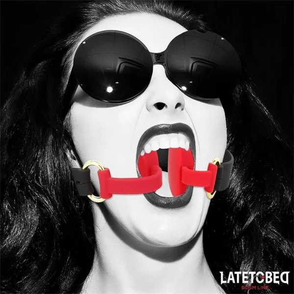 DOPPELENDIGER METALLKARABINERHAKEN VON LATETOBED BDSM LINE