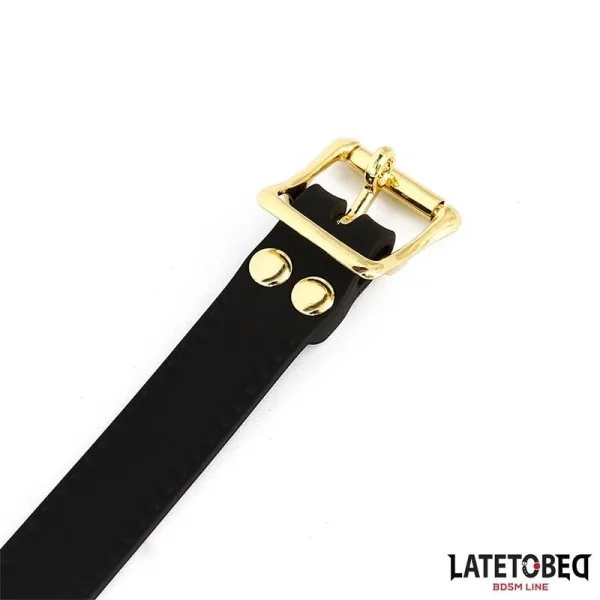 DOPPELENDIGER METALLKARABINERHAKEN VON LATETOBED BDSM LINE