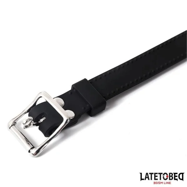 MUNDKNEBEL MIT NIPPELKLEMMEN VON LATETOBED BDSM LINE