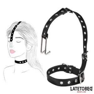 HALSBAND MIT NASENHAKEN VON LATETOBED BDSM LINE
