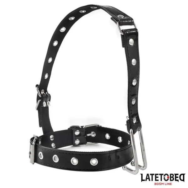HALSBAND MIT NASENHAKEN VON LATETOBED BDSM LINE