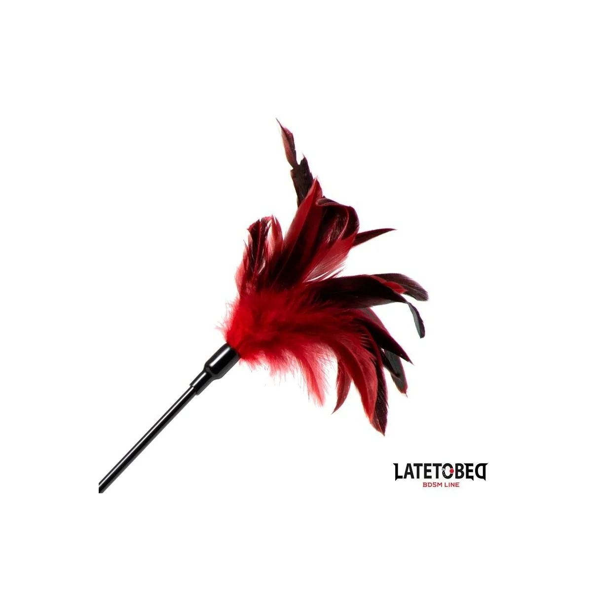 2-IN-1-PADDEL MIT FEDER VON LATETOBED BDSM LINE