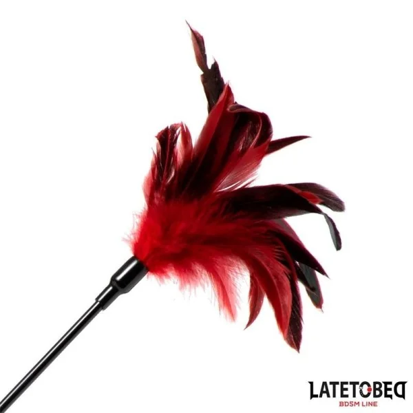 2-IN-1-PADDEL MIT FEDER VON LATETOBED BDSM LINE