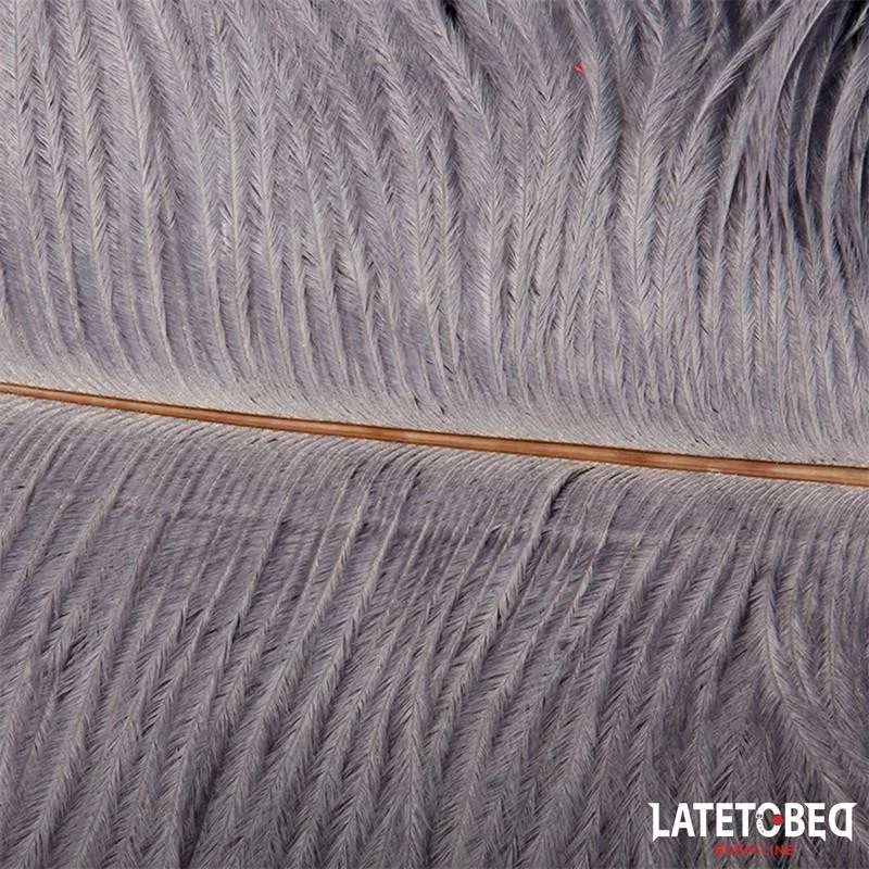 STRAUSSENFEDER 44 CM VON LATETOBED BDSM LINE 2