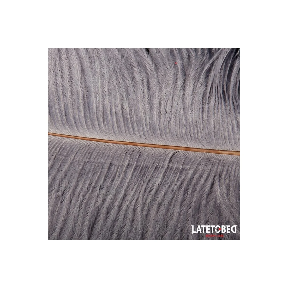 STRAUSSENFEDER 44 CM VON LATETOBED BDSM LINE