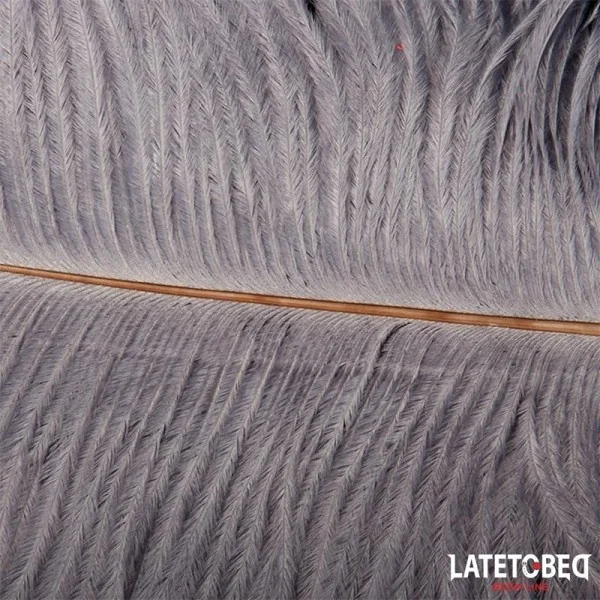 STRAUSSENFEDER 44 CM VON LATETOBED BDSM LINE