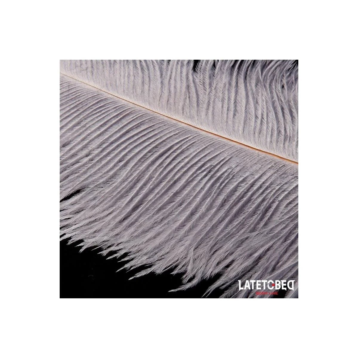 STRAUSSENFEDER 44 CM VON LATETOBED BDSM LINE