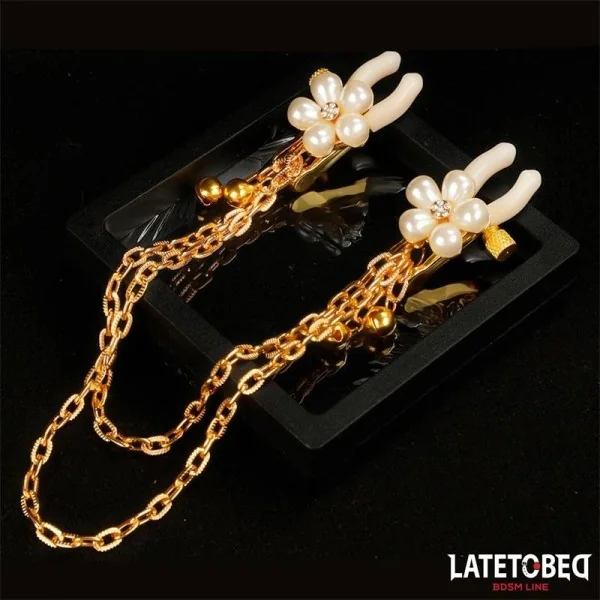 REARL-NIPPELKLEMMEN MIT KETTE VON LATETOBED BDSM LINE