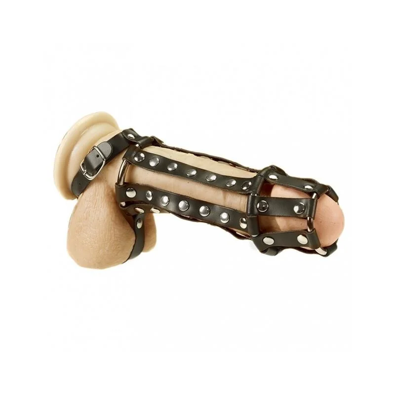 Penis- und Hodenharness von Bondage Play kaufen | Fesselliebe