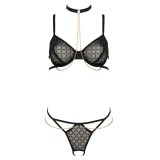 Tp101 2-Tlg. Set Schwarz-Gold von Kotek | Fesselliebe.de