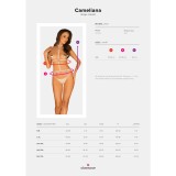 Cameliana Set Beige von Obsessive | Fesselliebe.de