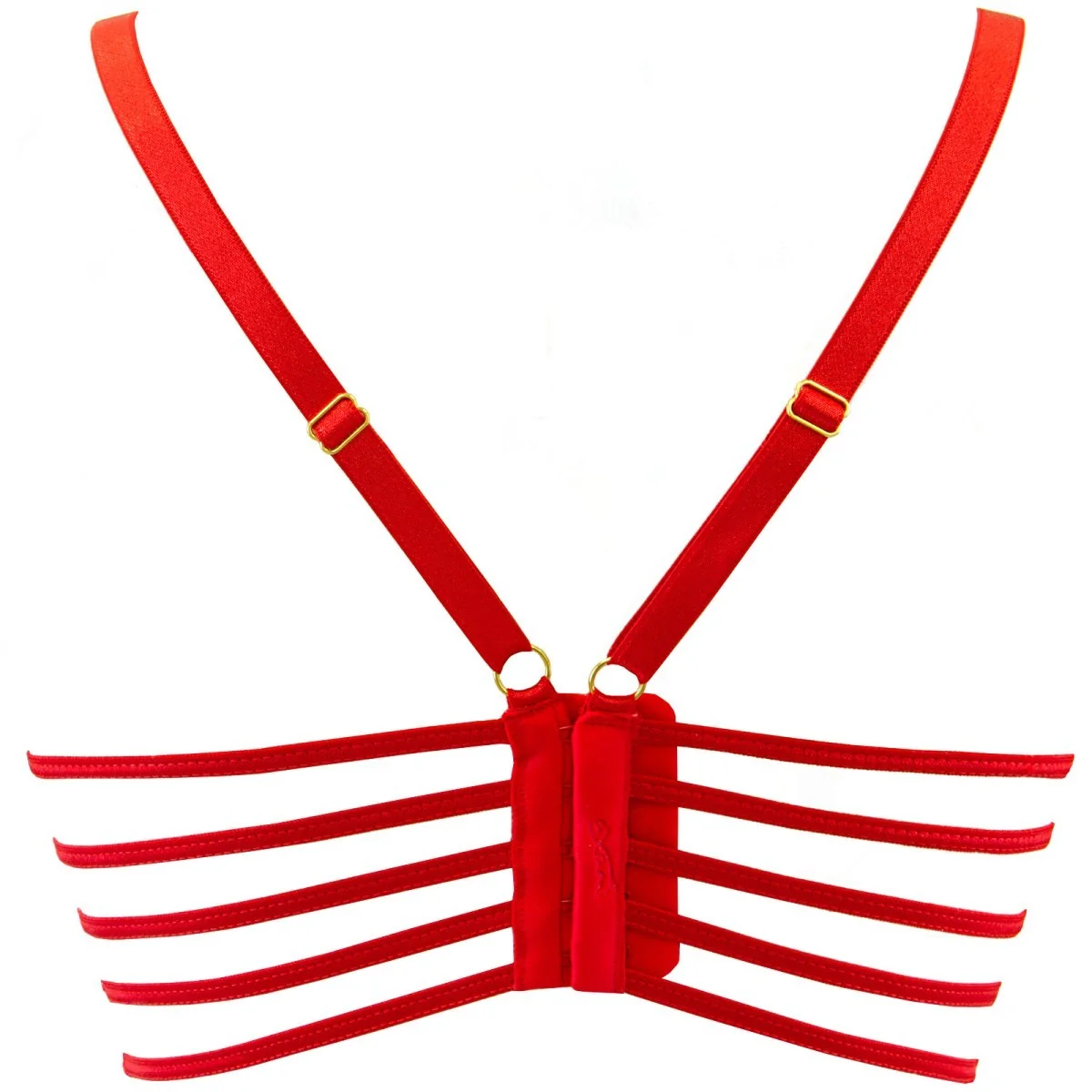 Bustier rot V-10071 von Axami kaufen | Fesselliebe