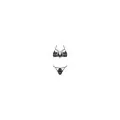 Linaris Set Schwarz von Cofashion Lingerie