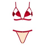 Rubinesa 2er Set Rot von Obsessive | Fesselliebe.de