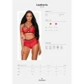 Leatheria 2er Set Rot von Obsessive