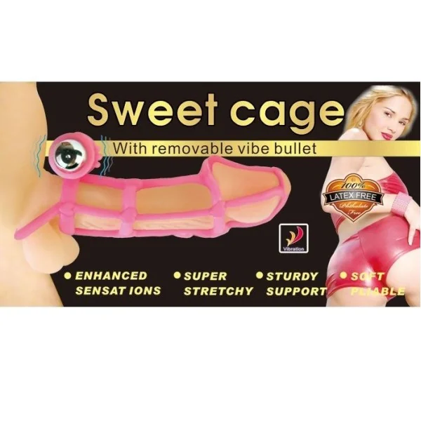 Sweet 10 Rhythms Silikon-Hülle und Ring für den Rosa Penis von Baile For Him kaufen | Fesselliebe