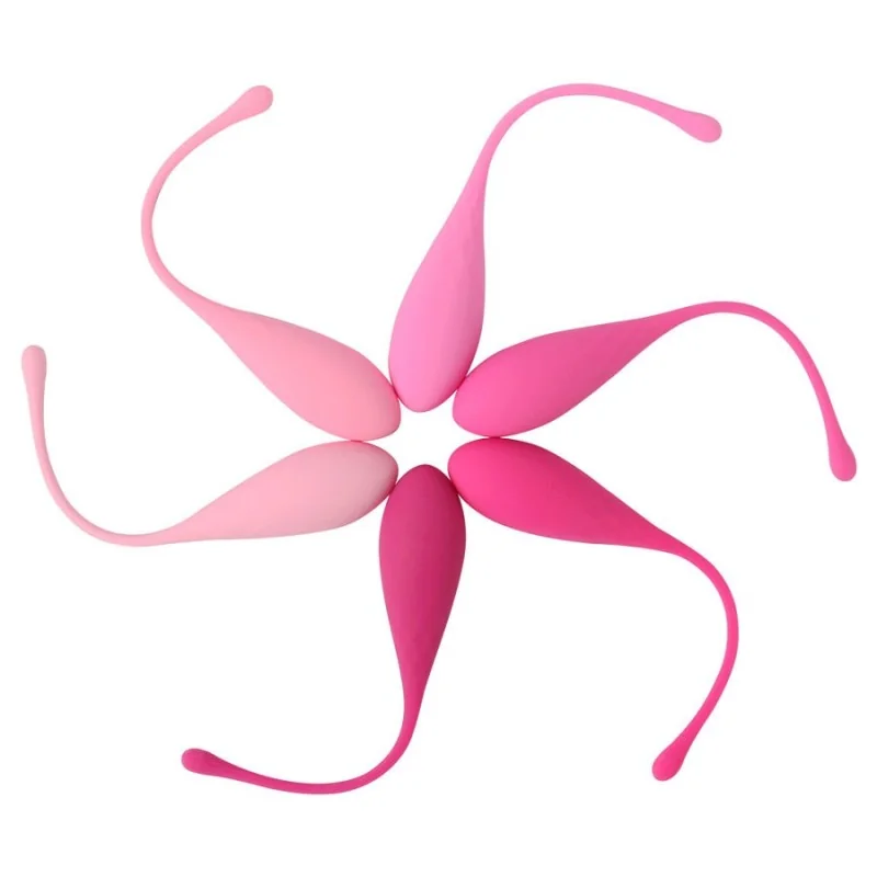 Kegel Fit Pelvic Muscle Training Set 6 Stücke von Leslie kaufen | Fesselliebe 2