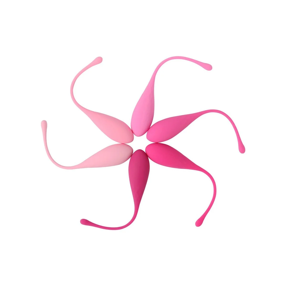 Kegel Fit Pelvic Muscle Training Set 6 Stücke von Leslie kaufen | Fesselliebe
