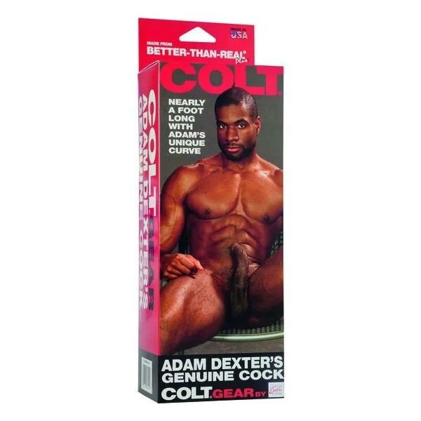 Colt Adam Dexters Hahn von Calexotics kaufen | Fesselliebe