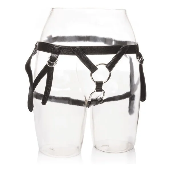 Ihr Königliches Geschirr. die Dutchess. One Size (S-L) von Calexotics kaufen | Fesselliebe