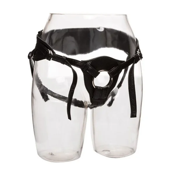 Here Royal Harness The Queen in Einer Größe von Calexotics kaufen | Fesselliebe