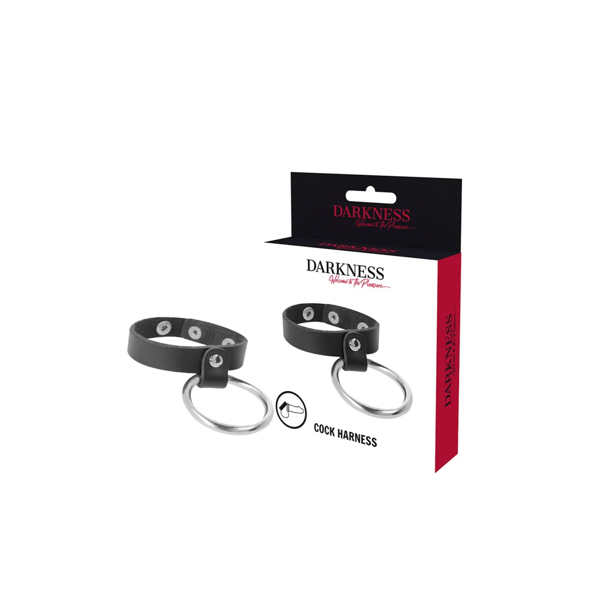 Metallring für Penis und Hoden von Darkness Bondage kaufen | Fesselliebe