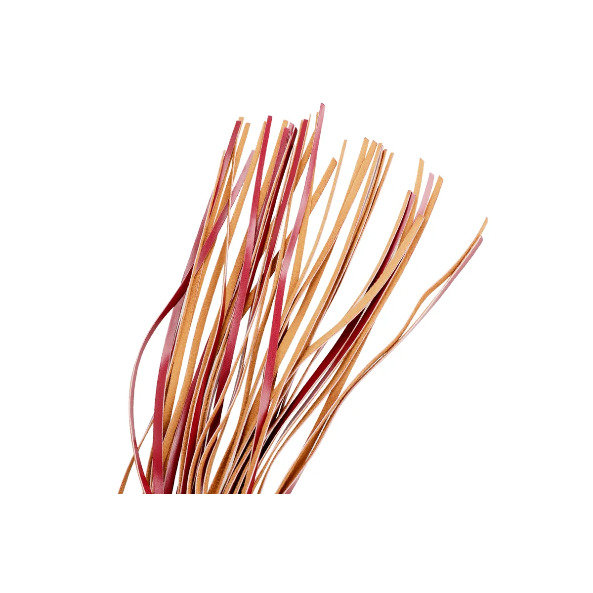 Peitsche aus Veganem Leder von Fetish Submissive Dark Room kaufen | Fesselliebe