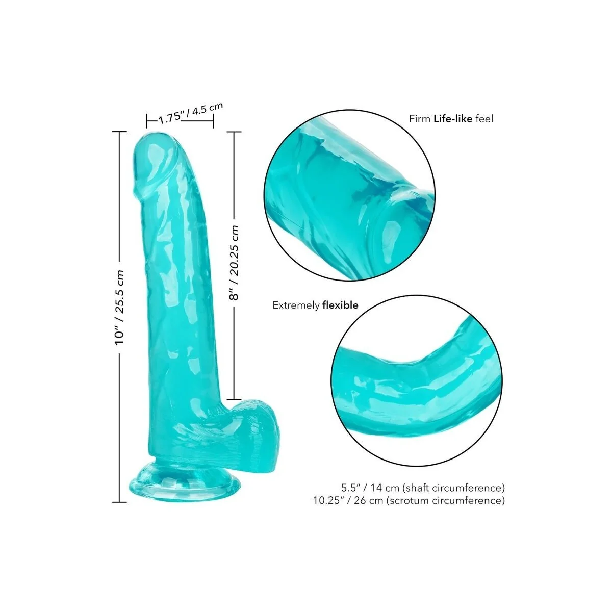 Größe Königin-Dildo Blau 20.3 cm von Calexotics kaufen | Fesselliebe