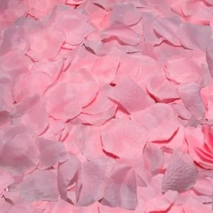 100 Rosa Blütenbltter von Diablo Picante kaufen | Fesselliebe