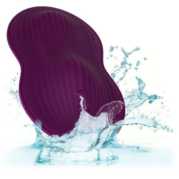 mit Fernbedienung Dual Rider von Calexotics kaufen | Fesselliebe