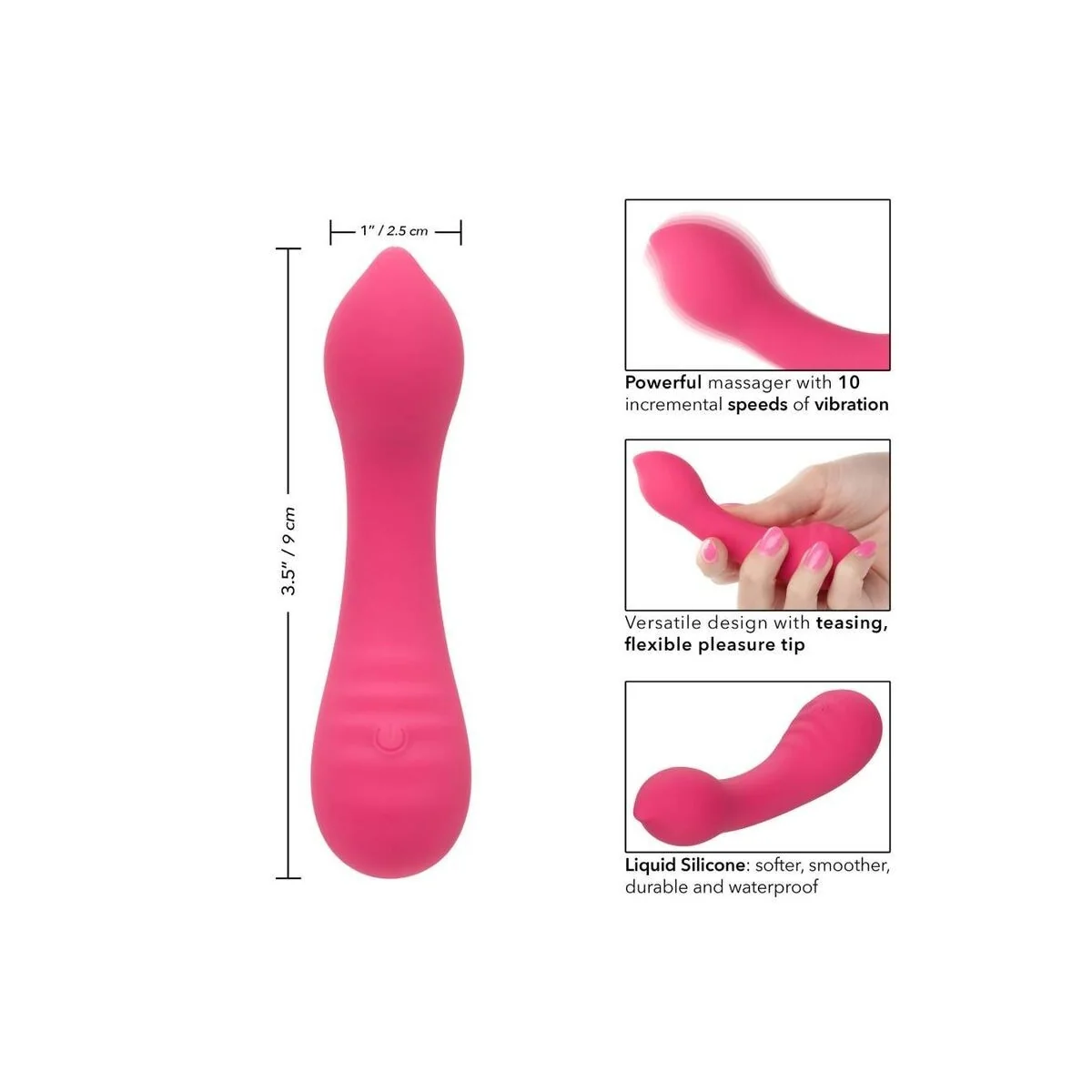 PIXIES TEASER ROSA VON CALEXOTICS