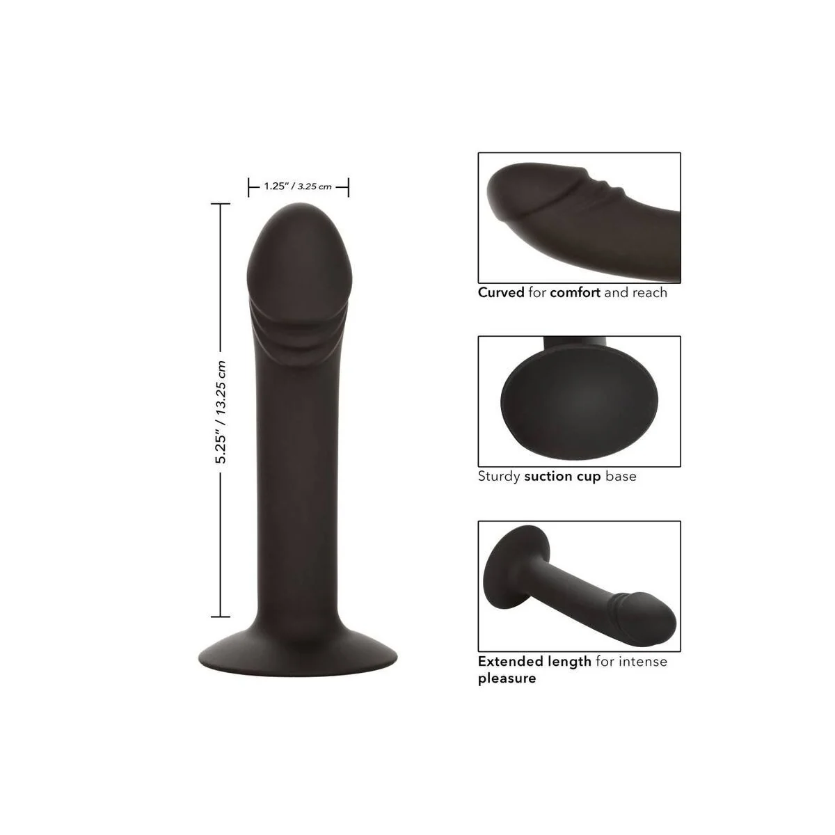 Gebogener Analstudie von Calexotics kaufen | Fesselliebe