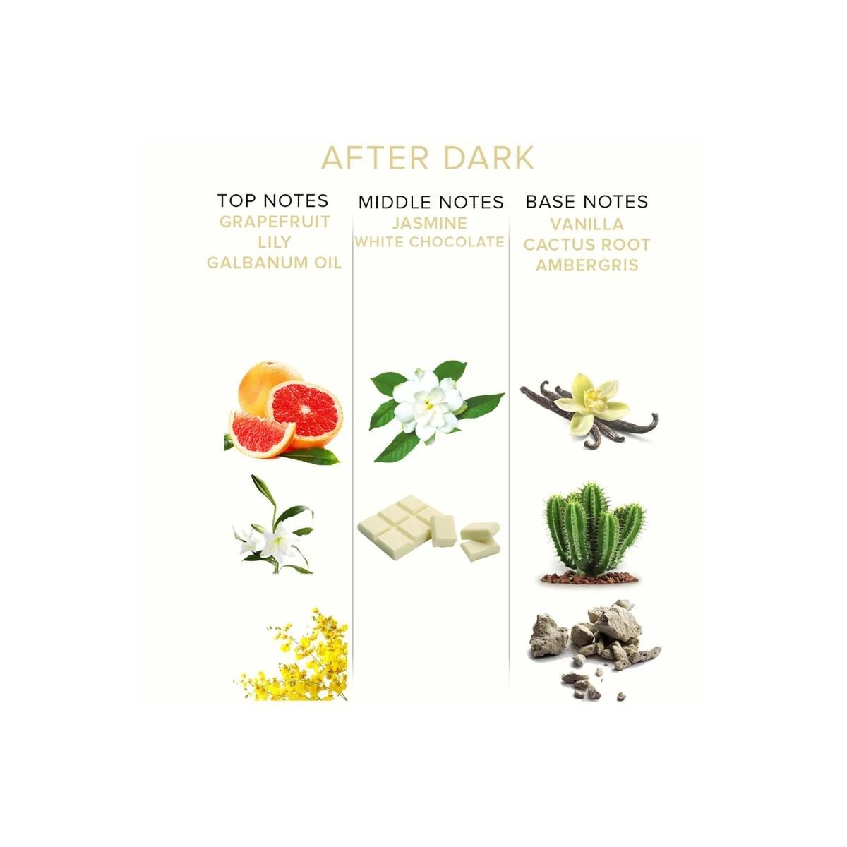 Eol Pheromon Parfum 10 ml - After Dark von Eye Of Love kaufen | Fesselliebe