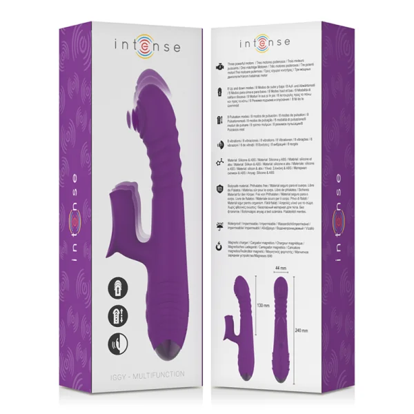 Iggy Multifunktions-wiederaufladbarer Vibrator Up & Down mit Klitorelstimulator Lila von Intense Fun kaufen | Fesselliebe