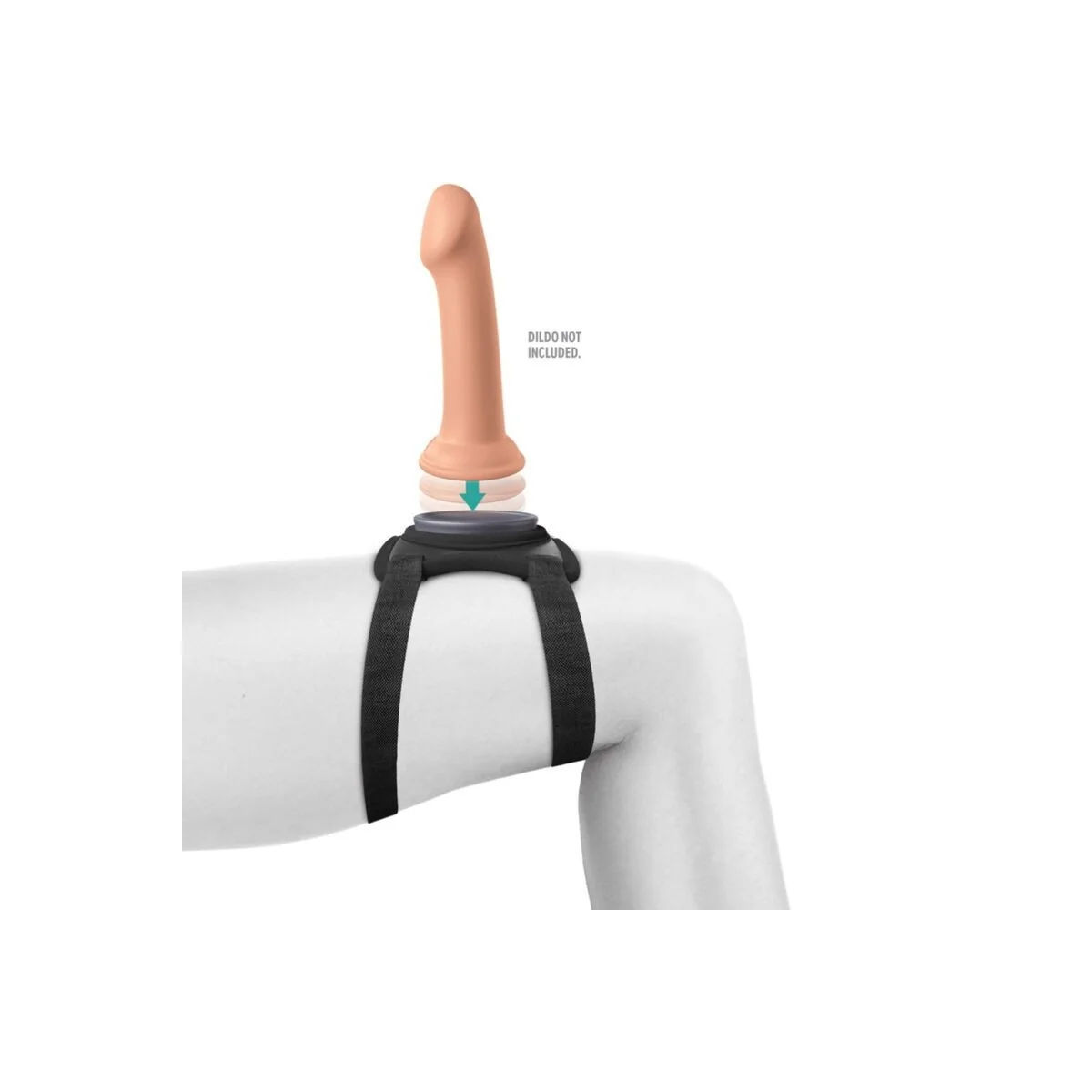 Body Dock Lap Strap-Gurt von Pipedreams kaufen | Fesselliebe