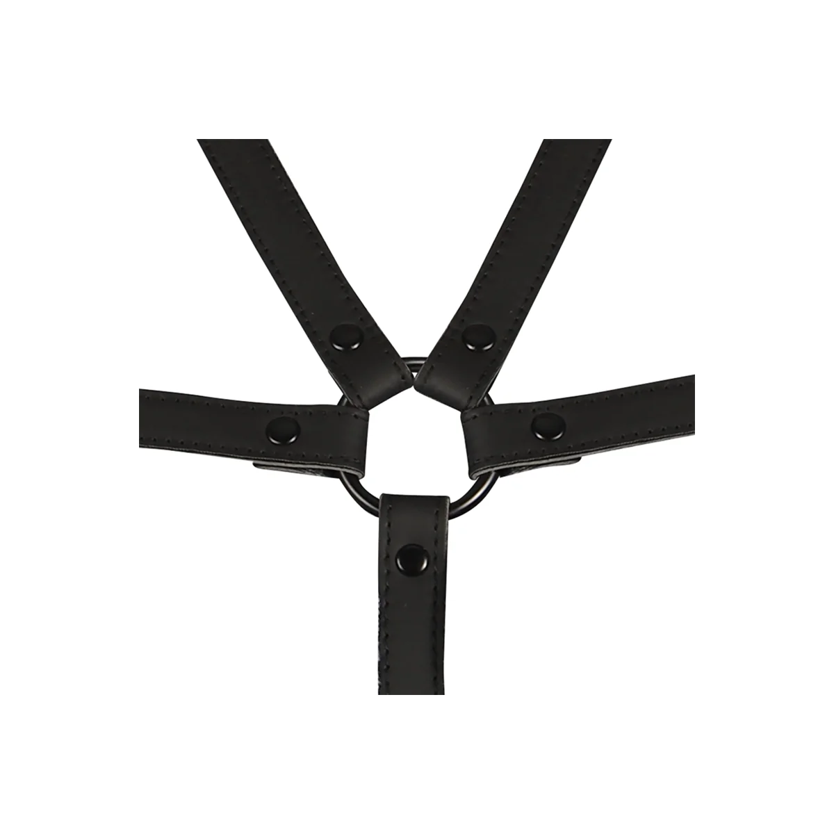 Verstellbarer Gurt für Torso und Arme von Fetish Submissive Bondage kaufen | Fesselliebe